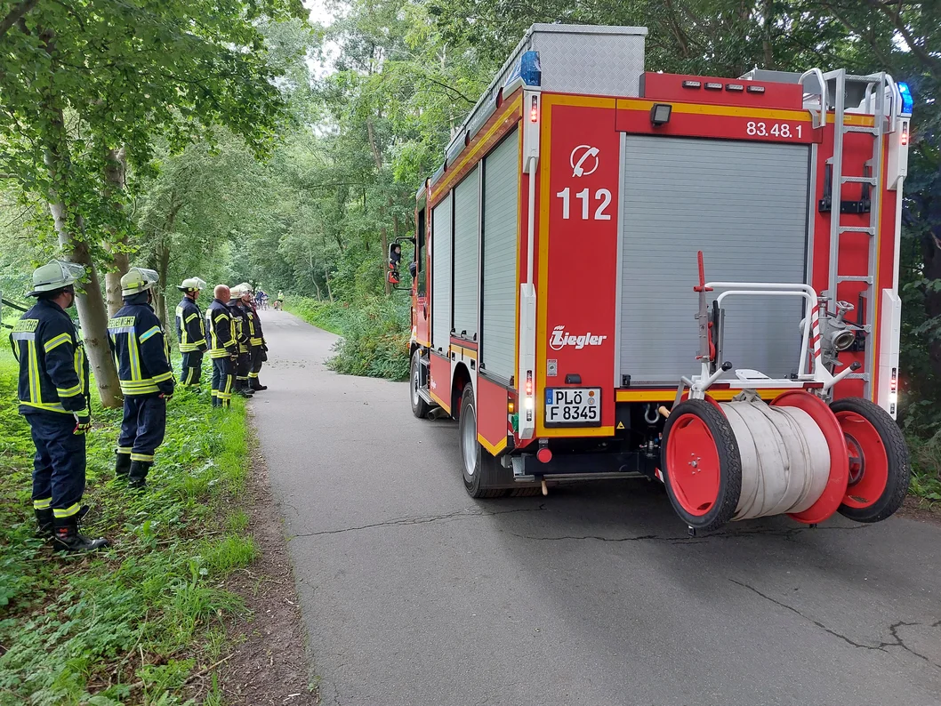 Ast droht auf Straße zu fallen